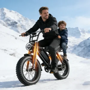 20 inch Electric fat bike 1000w 2000w 30-50MPH 30-60Miles